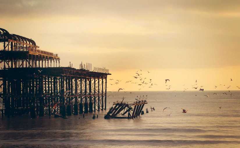 The Journey Begins – the Nonprofit&nbsp;Auditor