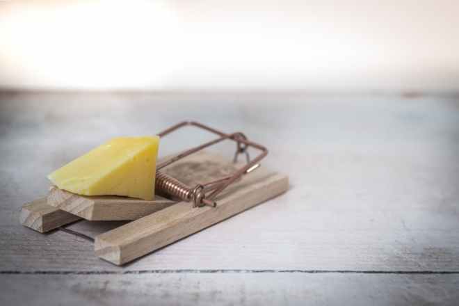 brown wooden mouse trap with cheese bait on top