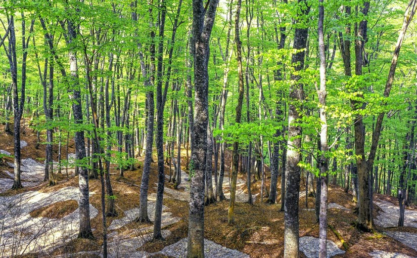 Pay attention, change is not&nbsp;fast